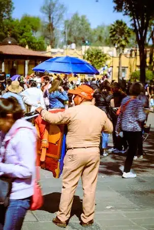 Beneficios de la infusión de arándanos con hibisco