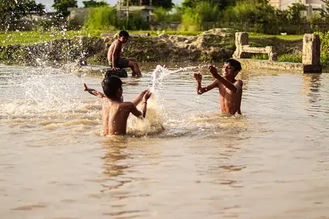 3. Busca en las publicaciones de la persona
