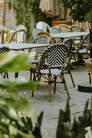 ¿Qué hizo Alfonso de Borbón y Silva después de completar sus estudios en Estados Unidos?